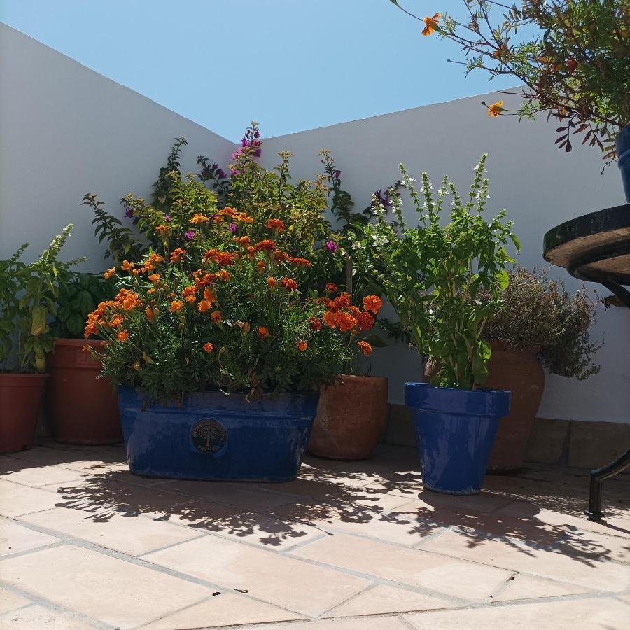 לינה וארוחת בוקר וחר דה לה פרונטרה Casa Kilmar מראה חיצוני תמונה
